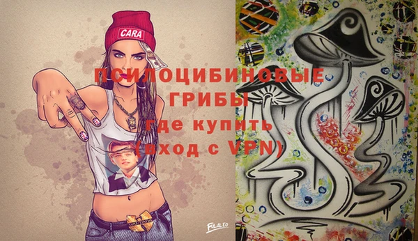 бутират Арсеньев