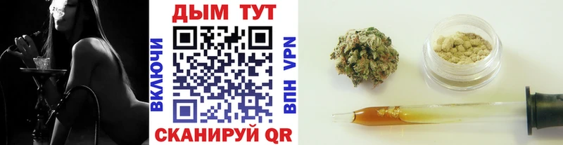 Каннабис индика  Юрьев-Польский 